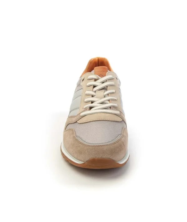 Ambitious Scarpe Sneakers 12554a Griz Man