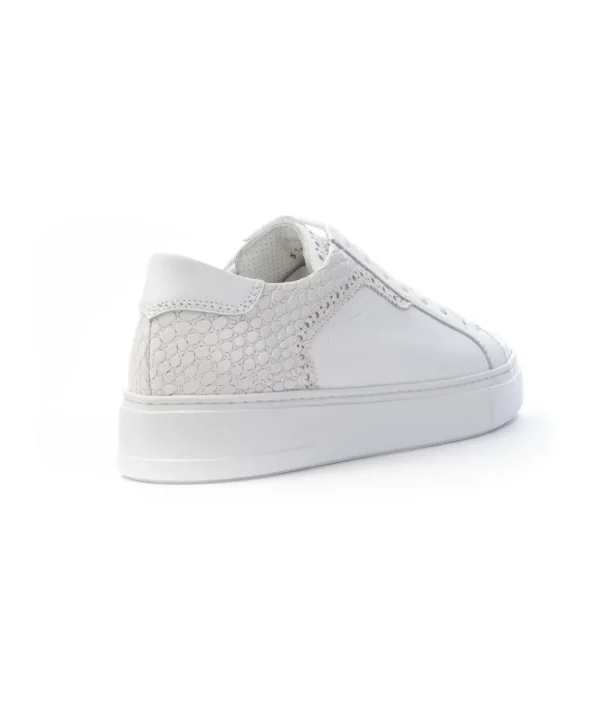 Galizio Torresi 315620 Sneakers Lacci