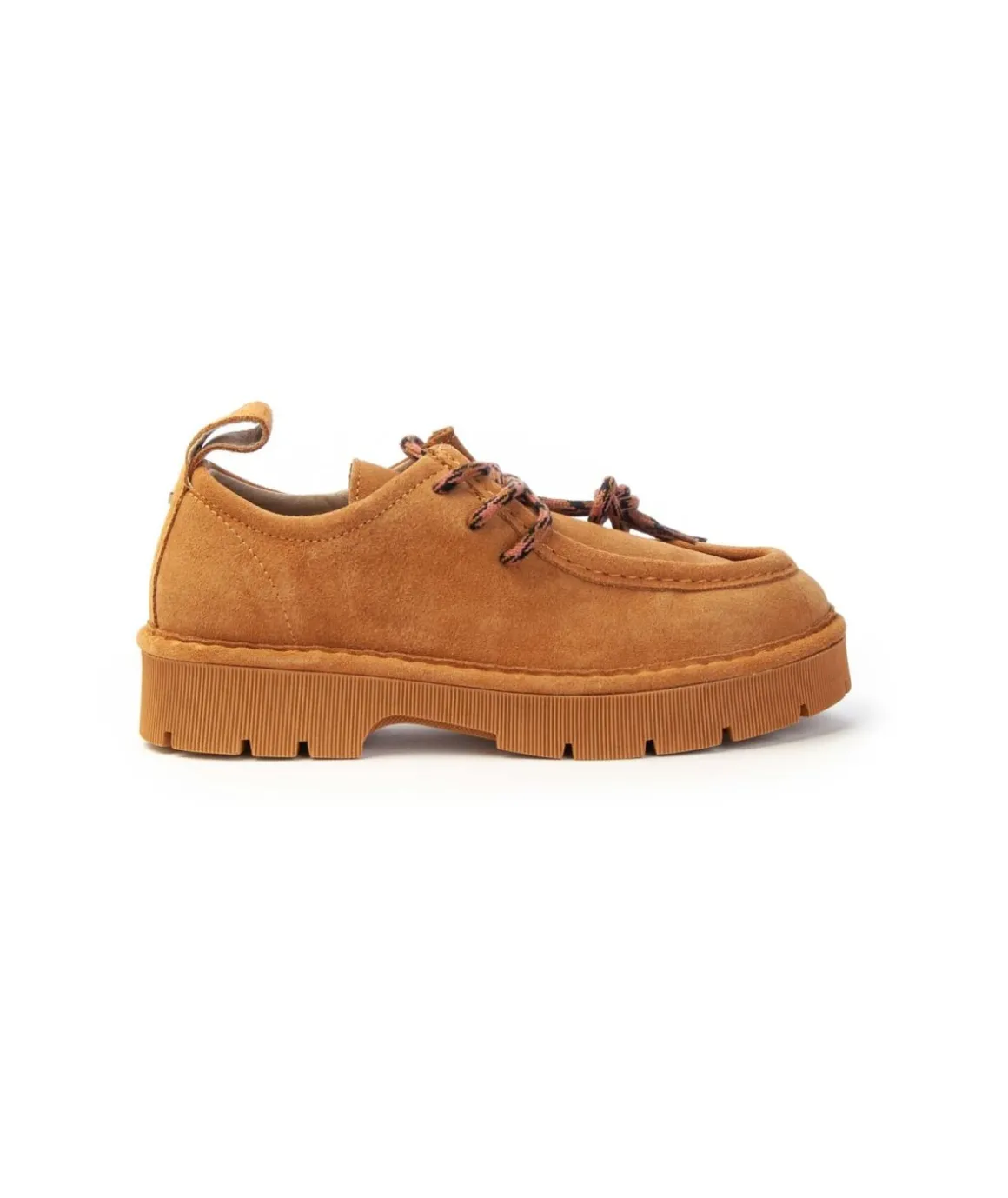 panchic_scarpa_lace_up_pw_1.webp Panchic Scarpa Lace Up P99W in suede scamosciato Donna